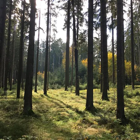 Apartmán Baeckerei Mueller - Grosse Mit Mid Century Charme, Zentral, Sehr Gut Fuer Familien, Privat, Stadt&natur, Cafe Im Haus *