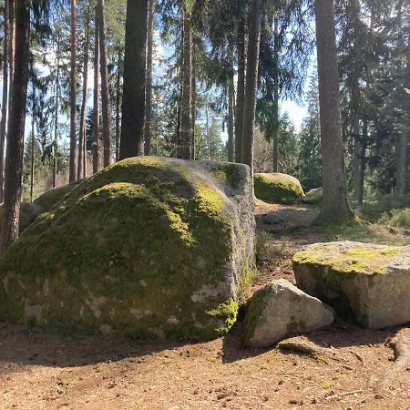 Baeckerei Mueller - Grosse Mit Mid Century Charme, Zentral, Sehr Gut Fuer Familien, Privat, Stadt&natur, Cafe Im Haus Apartmán Heidenreichstein