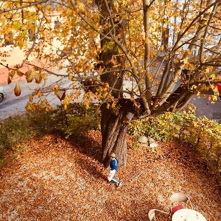 Baeckerei Mueller - Grosse Mit Mid Century Charme, Zentral, Sehr Gut Fuer Familien, Privat, Stadt&natur, Cafe Im Haus Apartmán *