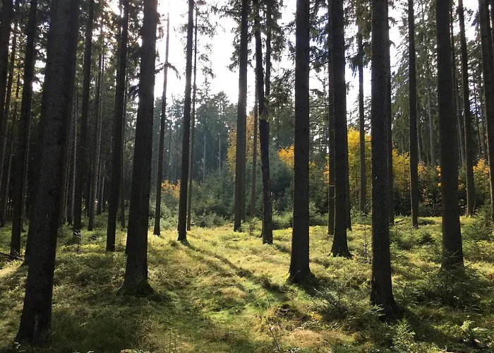 Apartamento Baeckerei Mueller - Grosse Mit Mid Century Charme, Zentral, Sehr Gut Fuer Familien, Privat, Stadt&natur, Cafe Im Haus *