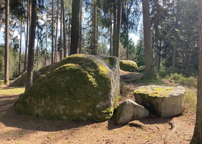 Baeckerei Mueller - Grosse Mit Mid Century Charme, Zentral, Sehr Gut Fuer Familien, Privat, Stadt&natur, Cafe Im Haus Apartamento Heidenreichstein