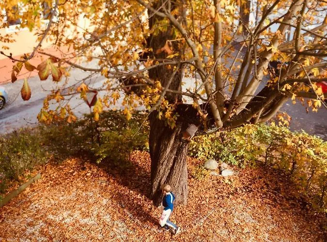 Baeckerei Mueller - Grosse Mit Mid Century Charme, Zentral, Sehr Gut Fuer Familien, Privat, Stadt&natur, Cafe Im Haus Apartamento *